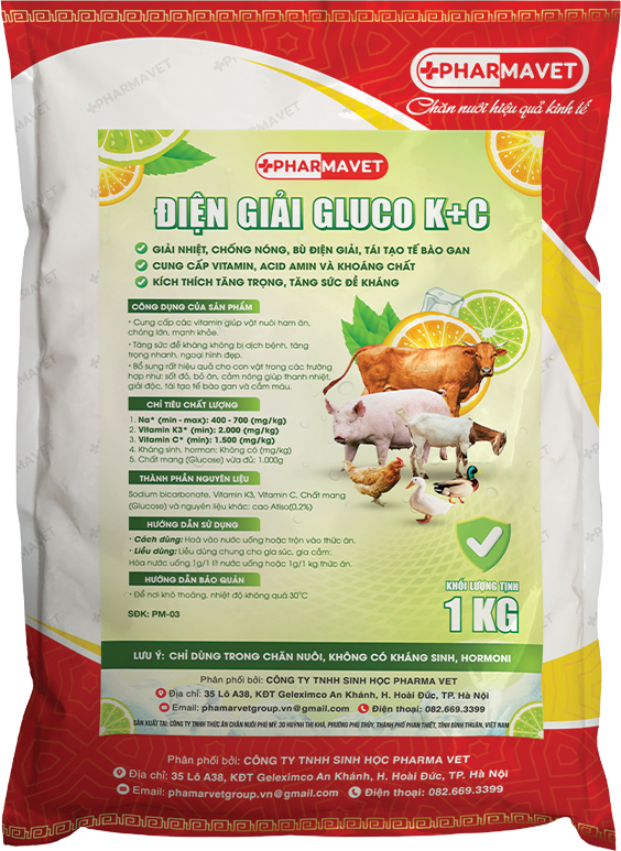 Điện giải